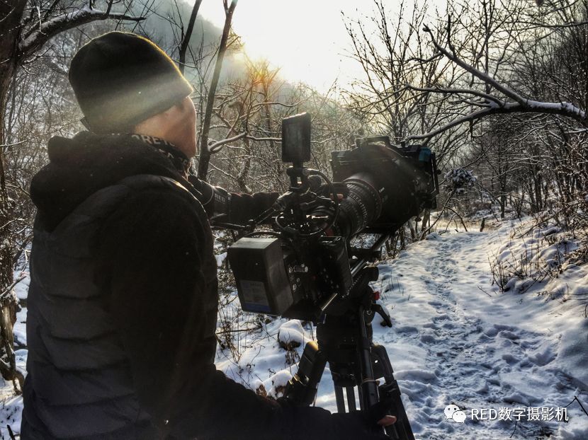 慢热型嫌疑对峙
